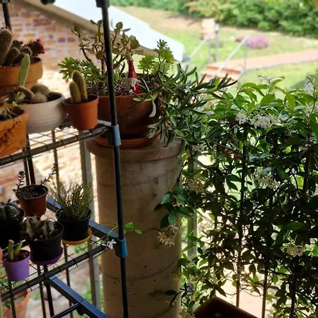 Lägenhet Casa Serena Con Giardino Bike Friendly *